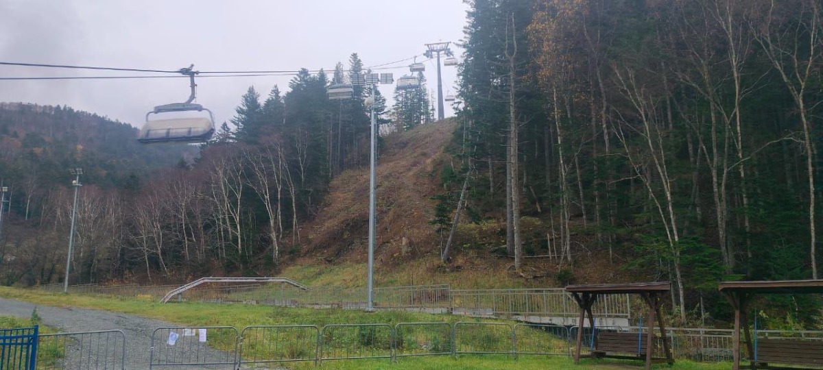 Из осени в зиму